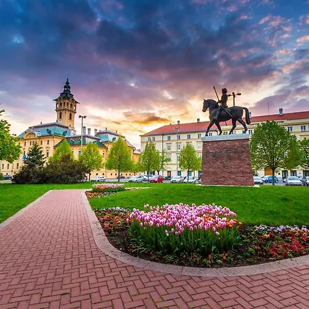 Apartment Koedvirag Szeged
